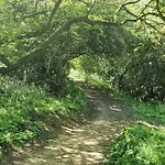 John At The Bay, 度假居