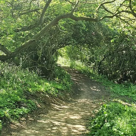 John At The Bay, 度假居
