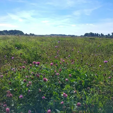 John At The Bay, Feriehus *