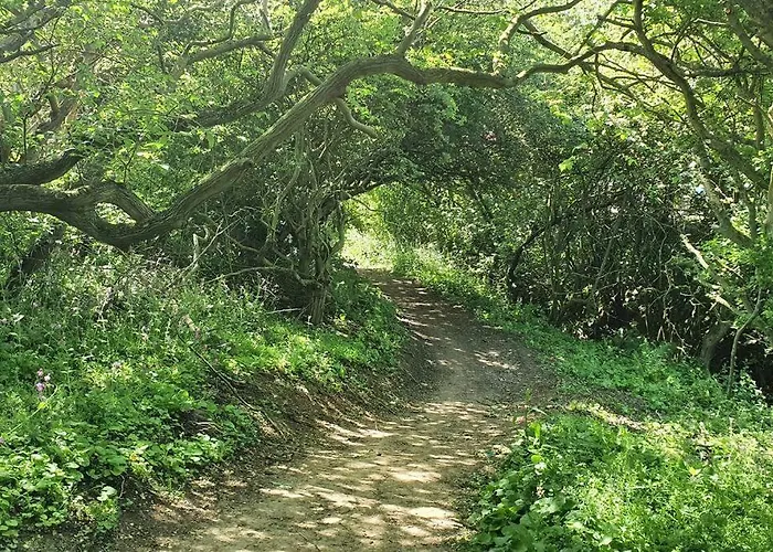 John At The Bay, Hébergement de vacances