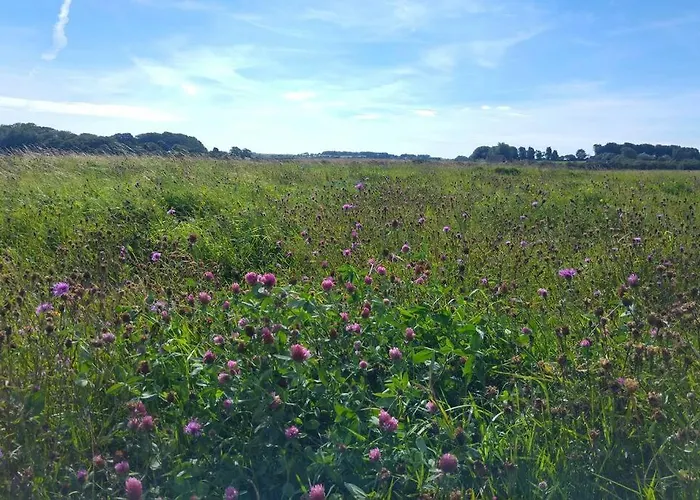 John At The Bay, Hébergement de vacances *